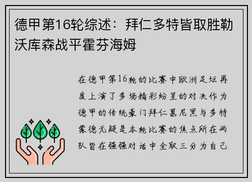 德甲第16轮综述：拜仁多特皆取胜勒沃库森战平霍芬海姆